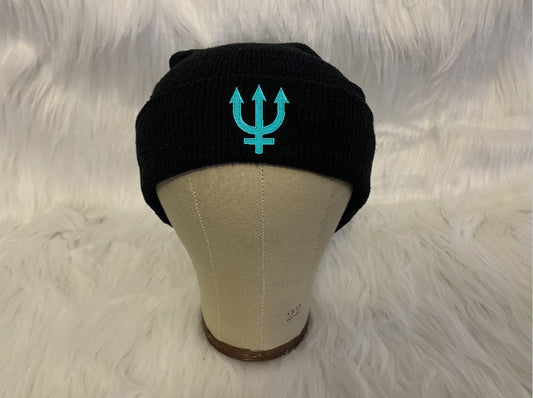 Neptune Guardian Beanie, Thick Cuffed Knit