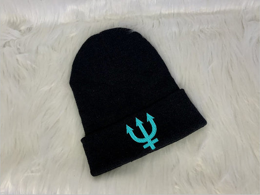 Neptune Guardian Beanie, Thick Cuffed Knit